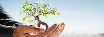 QUALITY & ENVIRONMENT